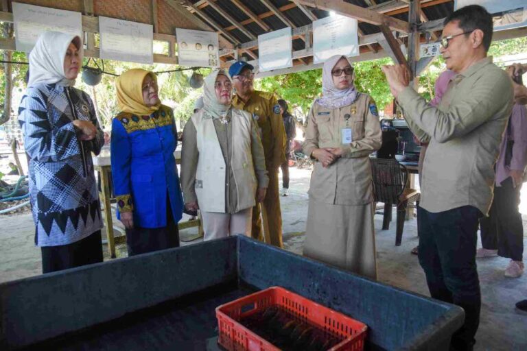 Kunjungi Sentra Mutiara Ketua Dekranasda NTB Ajak Jaga Ekosistem Laut!
