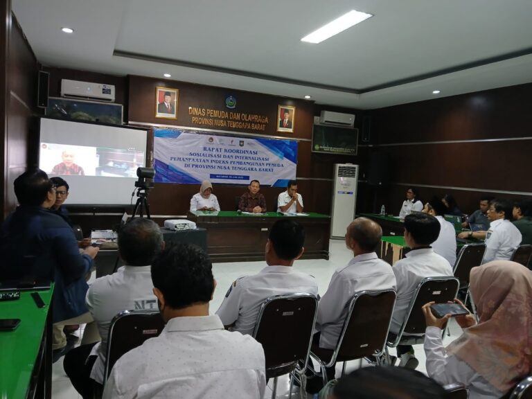 Rapat Koordinasi, Sosialisasi dan Internalisasi Pemanfaatan Indeks Pembangunan Pemuda (IPP)