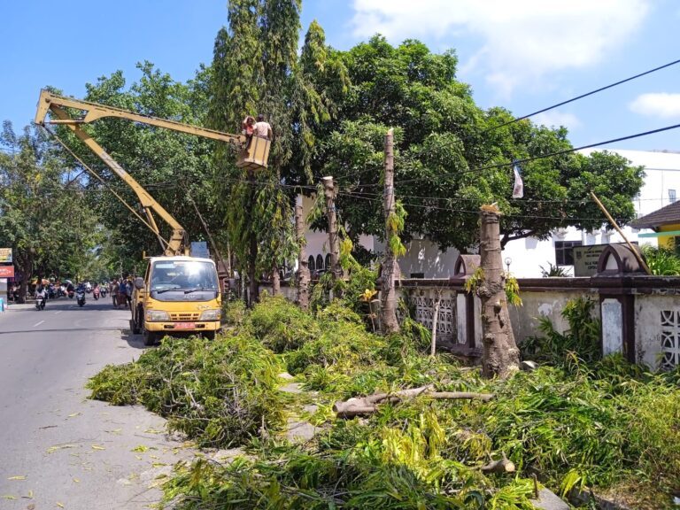 DLHK Kota Mataram Tebang Pohon, Pagar PLUT KUKM NTB Segera Direvitalisasi
